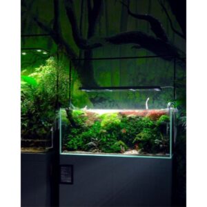 SKYLIGHT HYPERSPOT-F