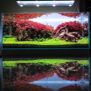 SKYLIGHT HYPERSPOT-F