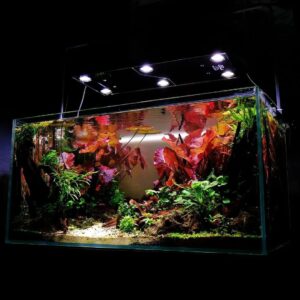 SKYLIGHT HYPERSPOT-F