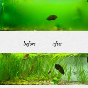 3 アクアリウム用 オゾン発生器 ドクターK【苔予防・除去・抑制・殺菌・水質浄化対策】