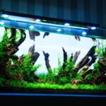 SKYLIGHT HYPER SPOT F 専用アルミスタンド