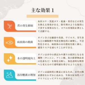 5 アクアリウム用 オゾン発生器 ドクターK【苔予防・除去・抑制・殺菌・水質浄化対策】