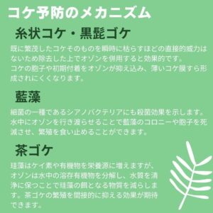 8 アクアリウム用 オゾン発生器 ドクターK【苔予防・除去・抑制・殺菌・水質浄化対策】
